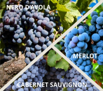 merlotcabernetnero